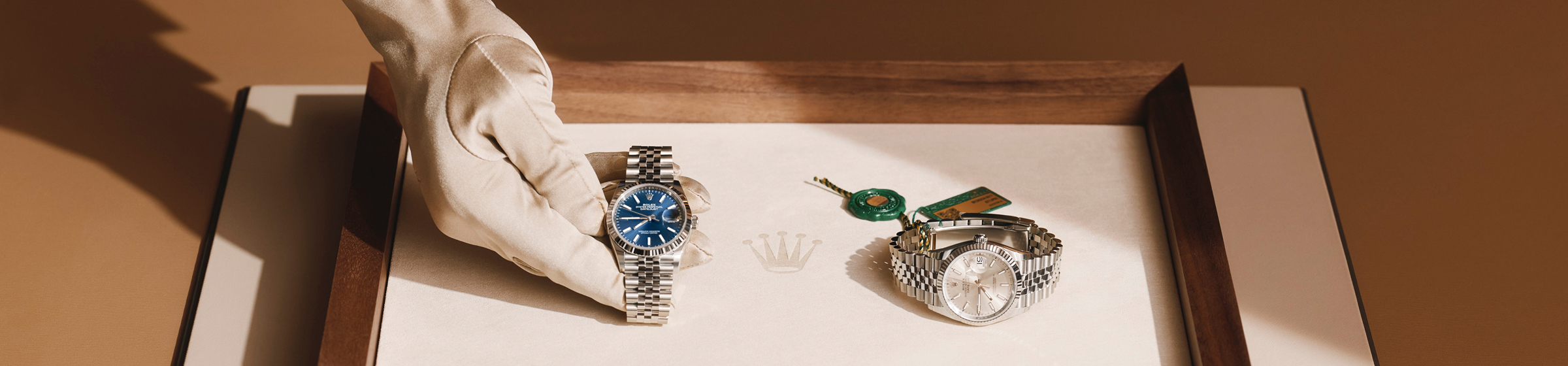 Rolex Contact
